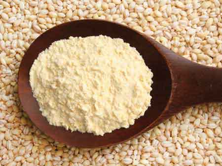 Barley Flour Is Protein Rich Food