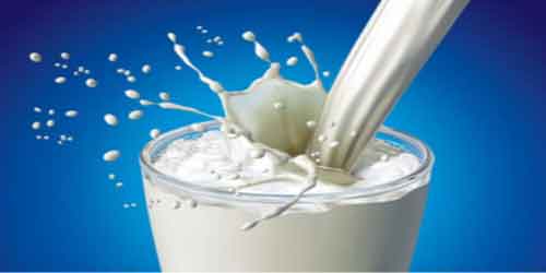 Milk Is Protein Rich Food