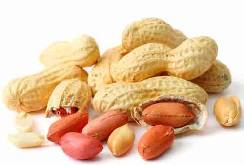 Peanuts Are Protein Rich Food