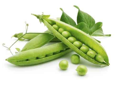 Peas are Protein Rich Foods