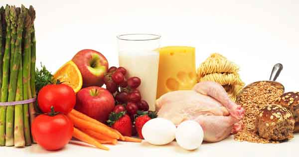 10 Protein Rich Foods