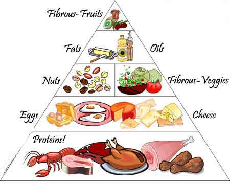 Protein Rich Foods Pyramid