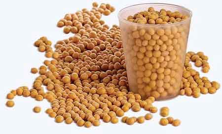 Soybeans are Protein Rich Foods