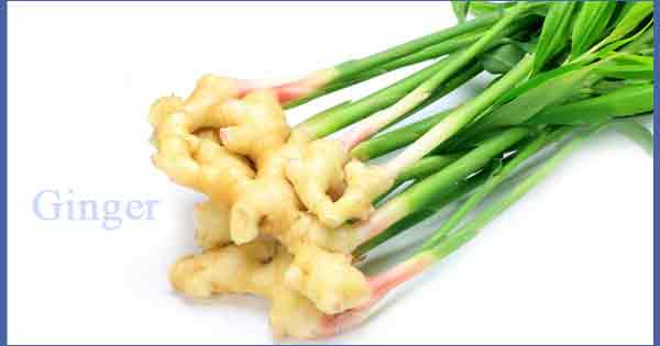 Using Ginger is very good lower back pain treatment