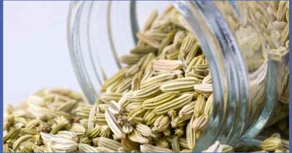 Home Remedies For Gas - Fennel seeds improves digestion hence relieves gas