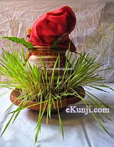 Navratri Puja Vidhi - Kalash with Barley Sprouts