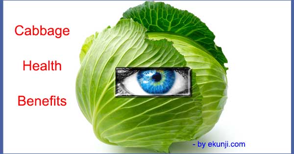 Cabbage Health Benefits Which You Did Not Know Before