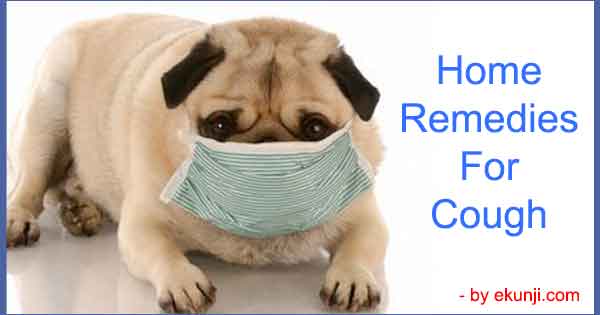 Very Easy Home Remedies for Cough