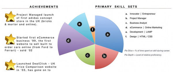 Use Infographics in CV to Make a Good CV