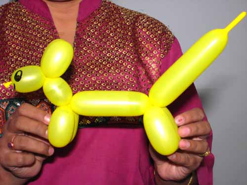 Your Balloon Dog is Ready