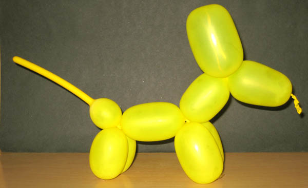 Learn to make balloon dog