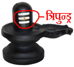 Shiva Puja Vidhi - Offer Tripundra