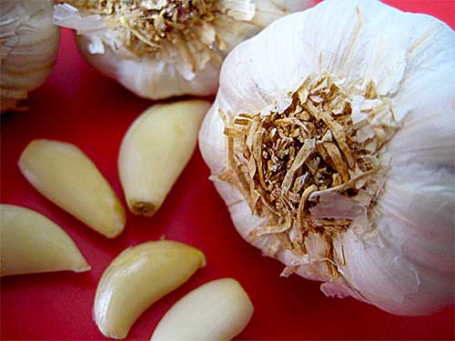 Health Benefits of Garlic