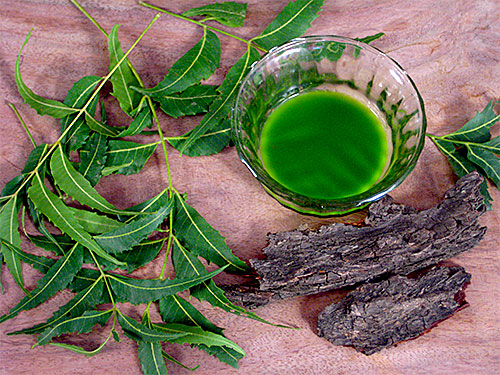 5 Neem Benefits