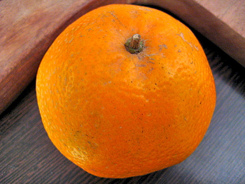 Benefits Of Orange by Sonia Goyal