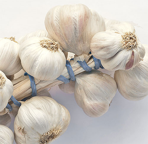 Beauty Benefits Of Garlic 