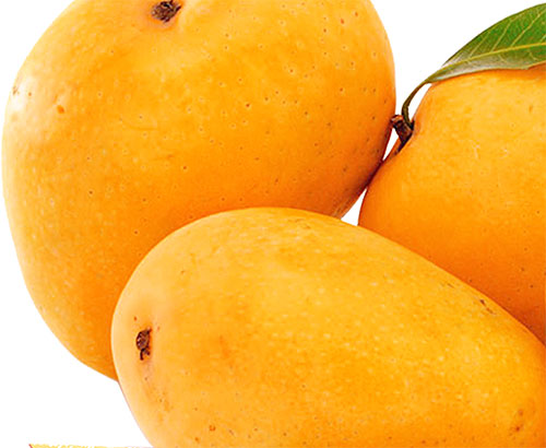 Mango Benefits For Health