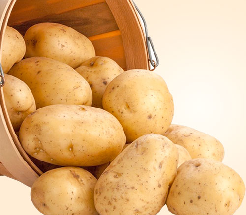 Potato Nutrition And Benefits For Health