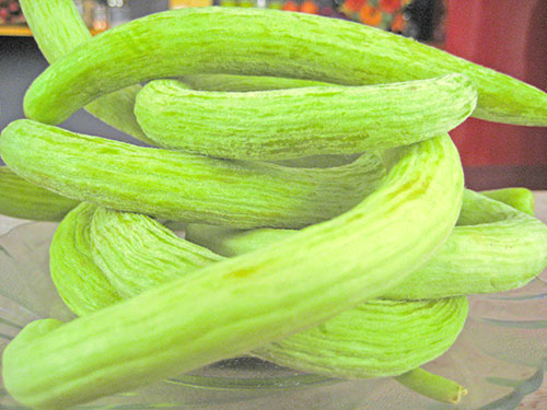 Snake Cucumber Benefits For Health 