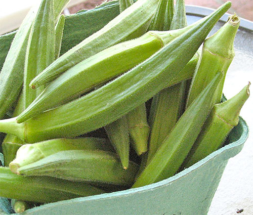 Health Benefits Of Okra