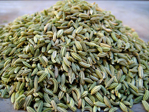 Fennel Seeds Benefits For Health with Video 